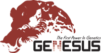 Genesus inc