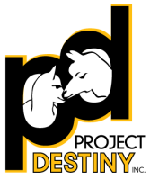 Project destiny