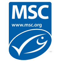 Qmc inc