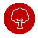 Reddiform icf