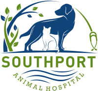 Southport animal hospital