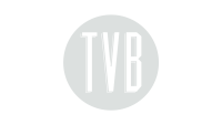 The visual brand (tvb)
