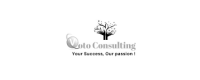 Voto consulting llc