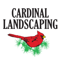 Cardinal landscaping