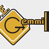 D.e. gemmill, inc.