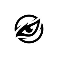 Eagle eye photography