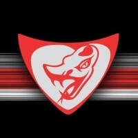 Flying lizard motorsports