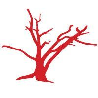 Red branch media | marketing and advertising