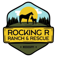 Rocking r ranch
