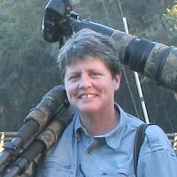 Sue jarrett photographer