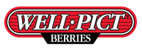 Well-pict berries