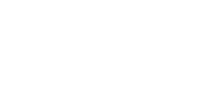 Big frog franchise group