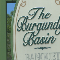 Burgundy basin