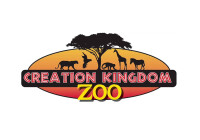 Creation kingdom