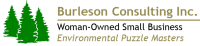 Burleson consulting
