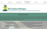 Dbt institute of michigan