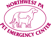 Pet emergency center