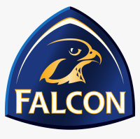 Falcon security
