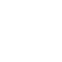 NICE ICE