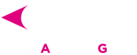 International Jet Aviation Services