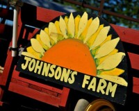 Johnson farms inc.
