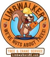 Limbwalker tree service