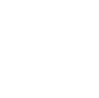 Loy instrument, inc.