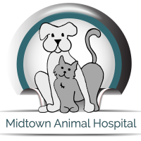 Midtown animal hospital