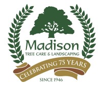 Madison tree care & landscaping