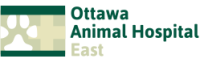 Ottawa animal hospital