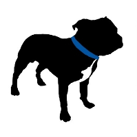 Pitt bull secure technologies, inc.