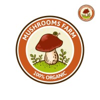 Porcini
