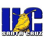 Sol santa cruz