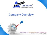 Tri-force consulting services inc.