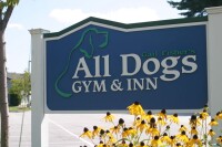 All dogs gym