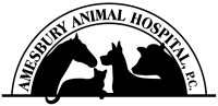 Amesbury animal hospital