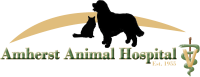 Amherst animal hospital