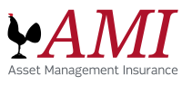 Ami asset management inc.