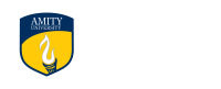Amity institute
