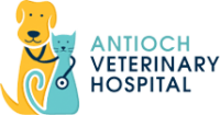 Antioch veterinary hospital