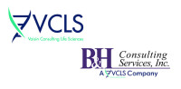 B&h consulting services, inc.