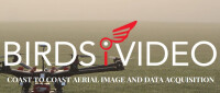 Birdsivideo