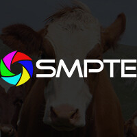 Creativecow.net