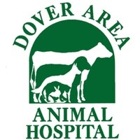 Dover area animal hospital