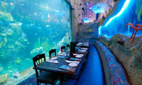 Downtown aquarium - denver