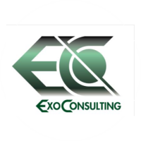 Exxo consulting, llc