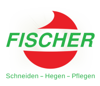 Fischer, schemmer & silbiger md pa