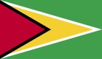 Flag international