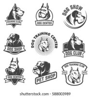 Kennel care