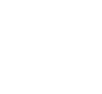 Lauren plastics, llc a division of lauren international